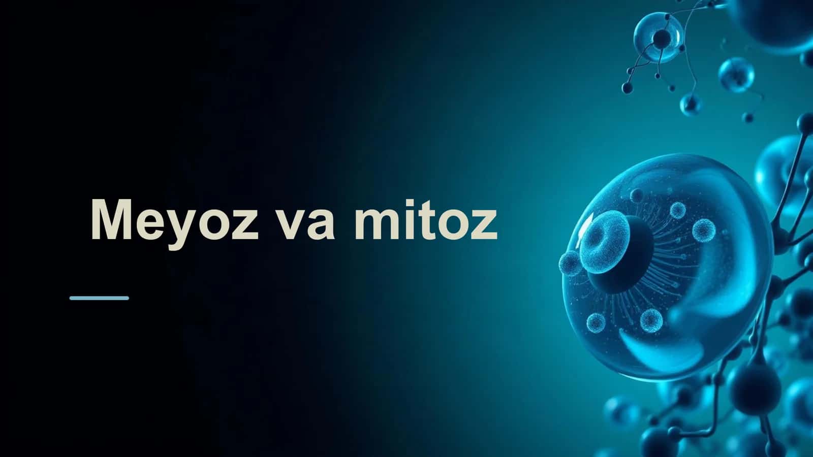 Meyoz va mitoz