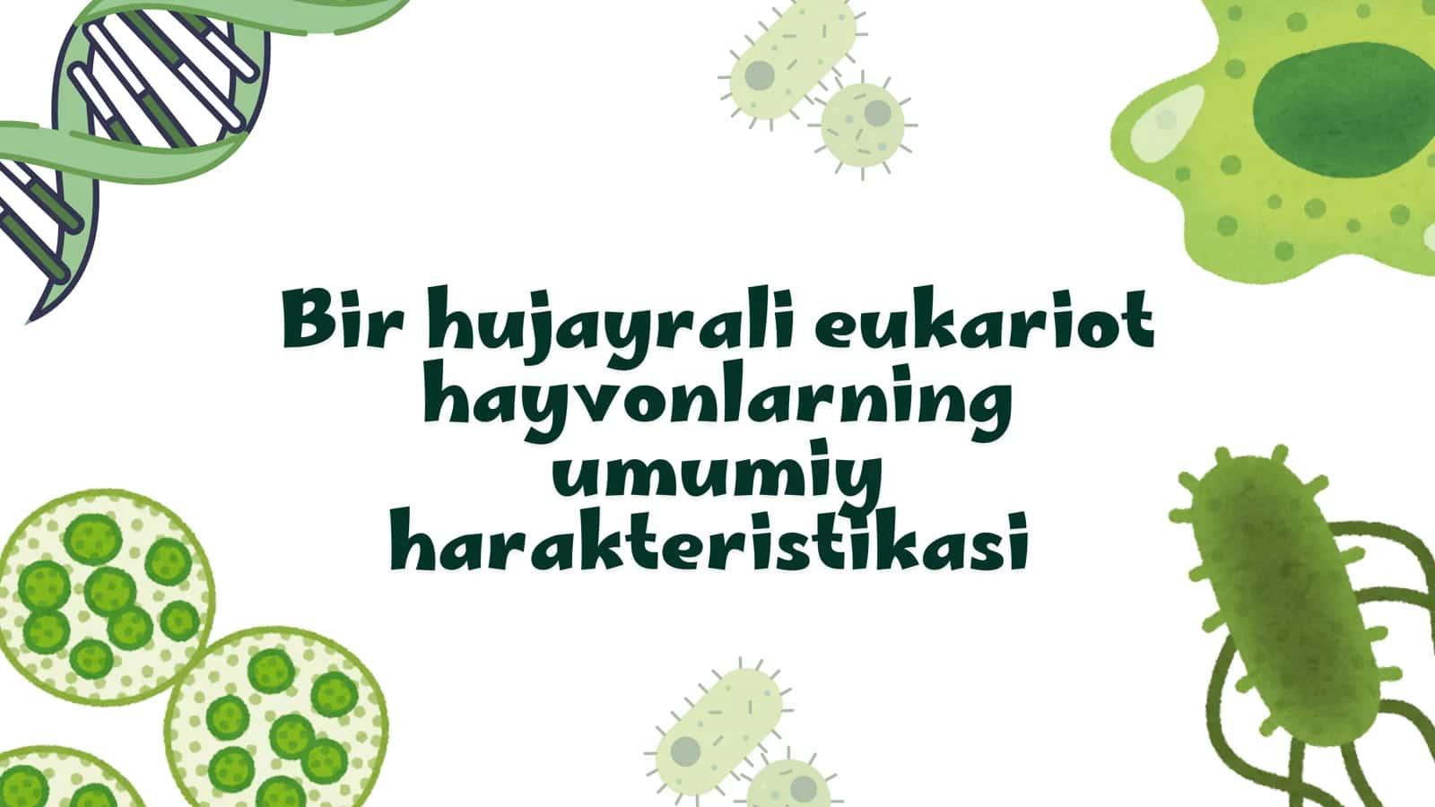 Bir hujayrali eukariot hayvonlarning umumiy harakteriskasi