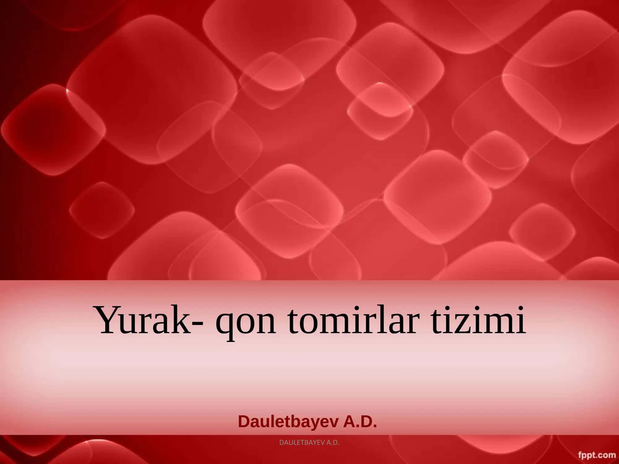 Yurak- qon tomirlar tizimi