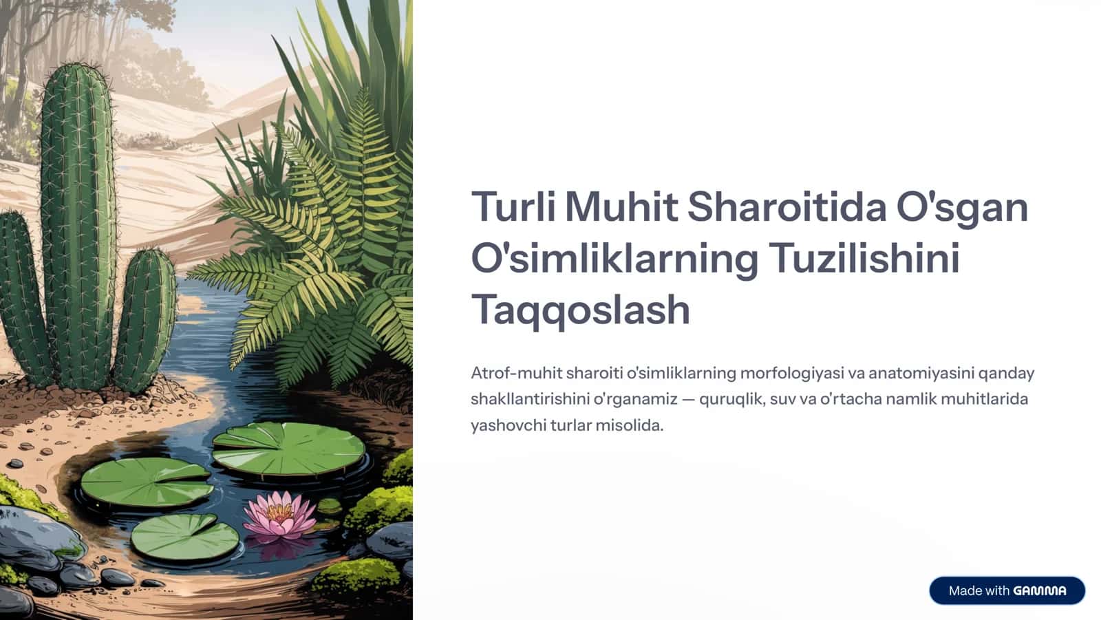 Turli Muhit Sharoitida O'sgan O'simliklarning Tuzilishi