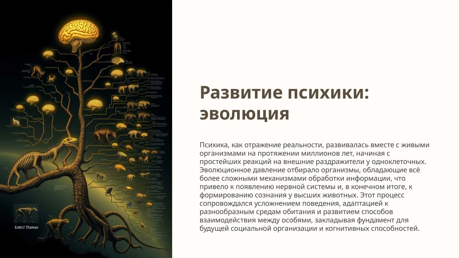 Развитие психики