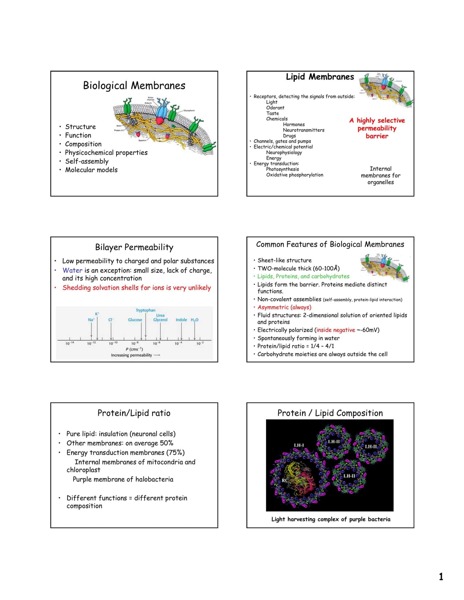 Biological Membranes