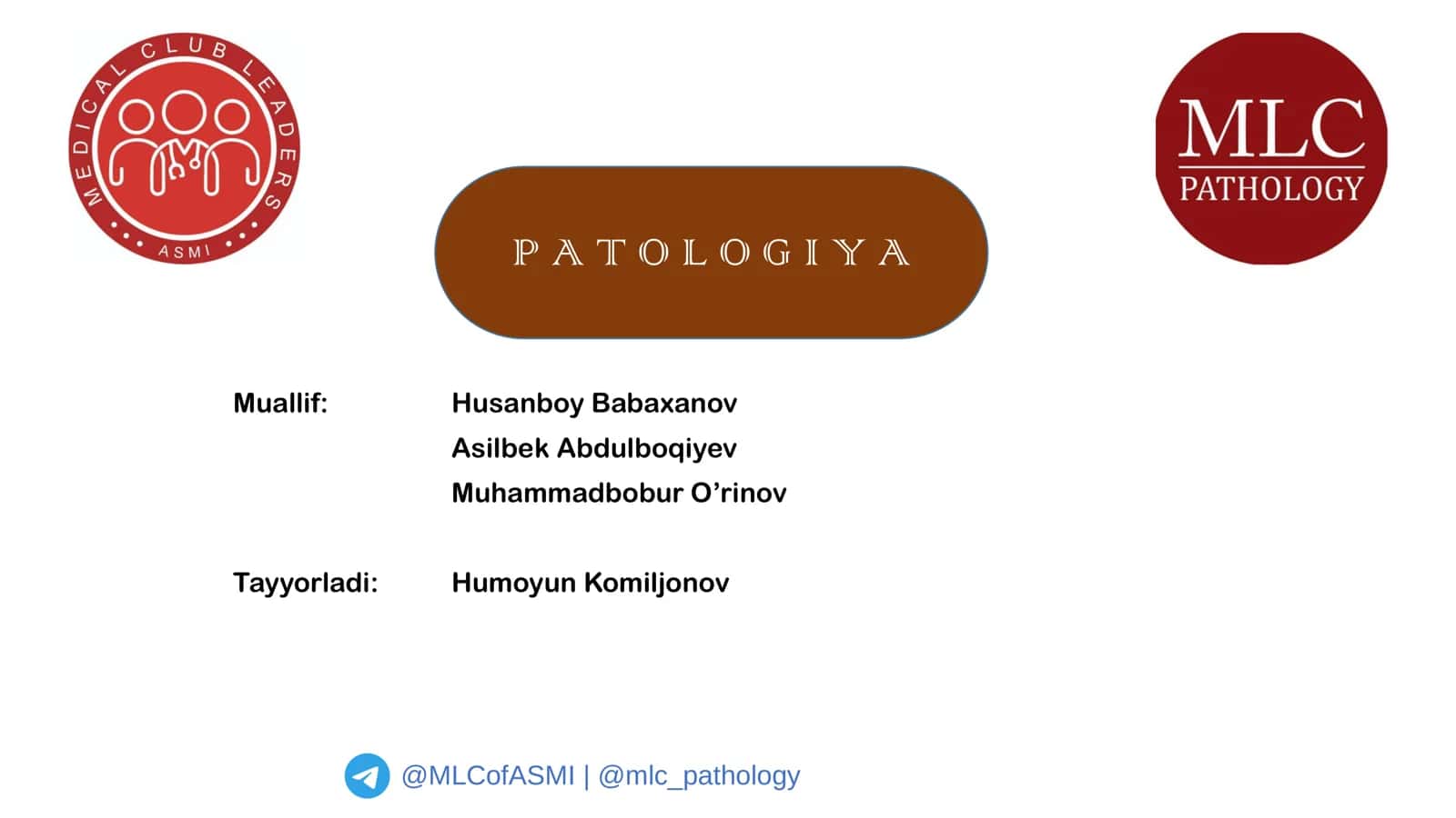 Muallif: Husanboy Babaxanov, Asilbek Abdulboqiyev, Muhammadbobur O’rinov