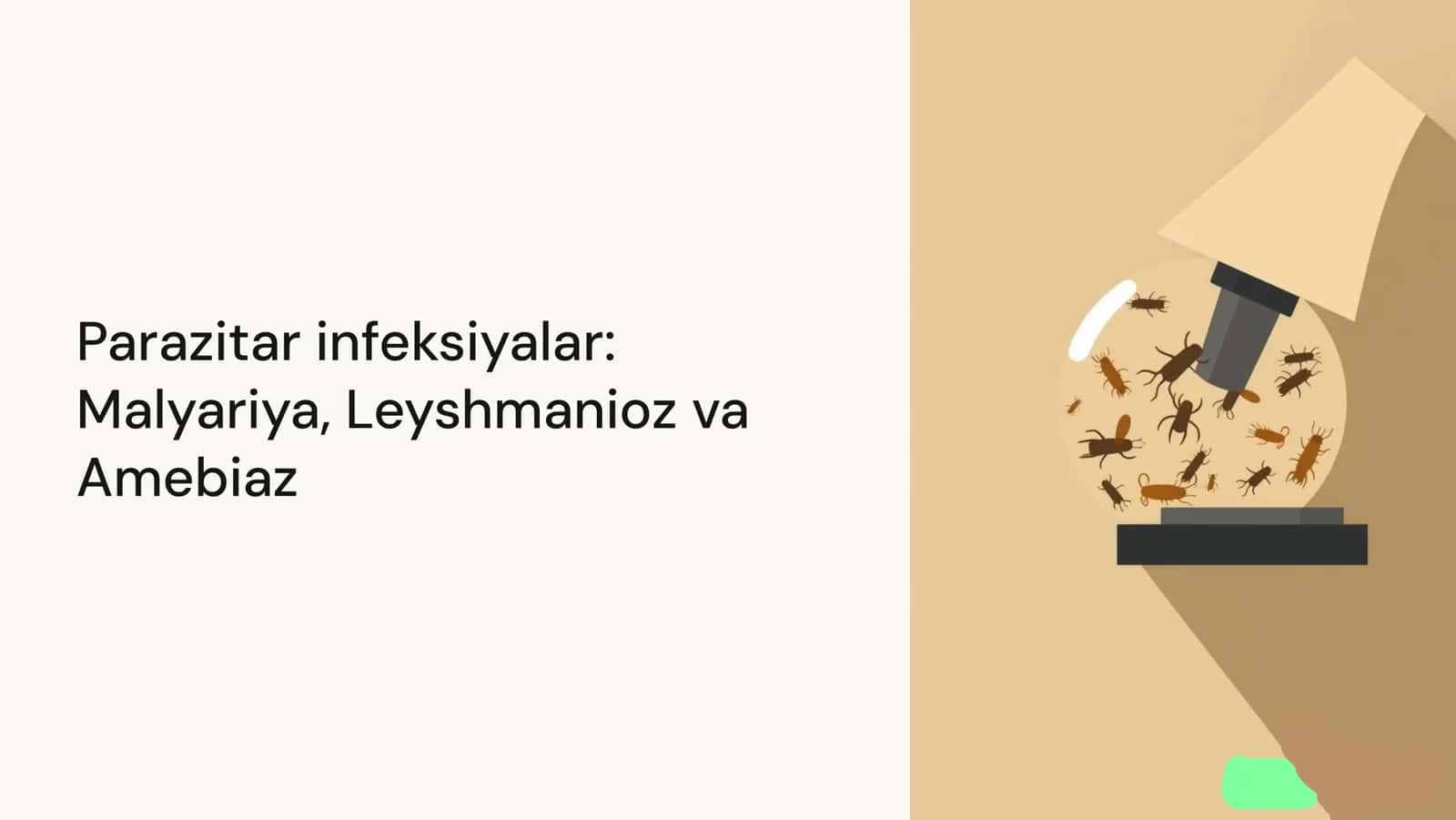 Parazitar infeksiyalar: Malyariya, Leyshmanioz va Amebiaz