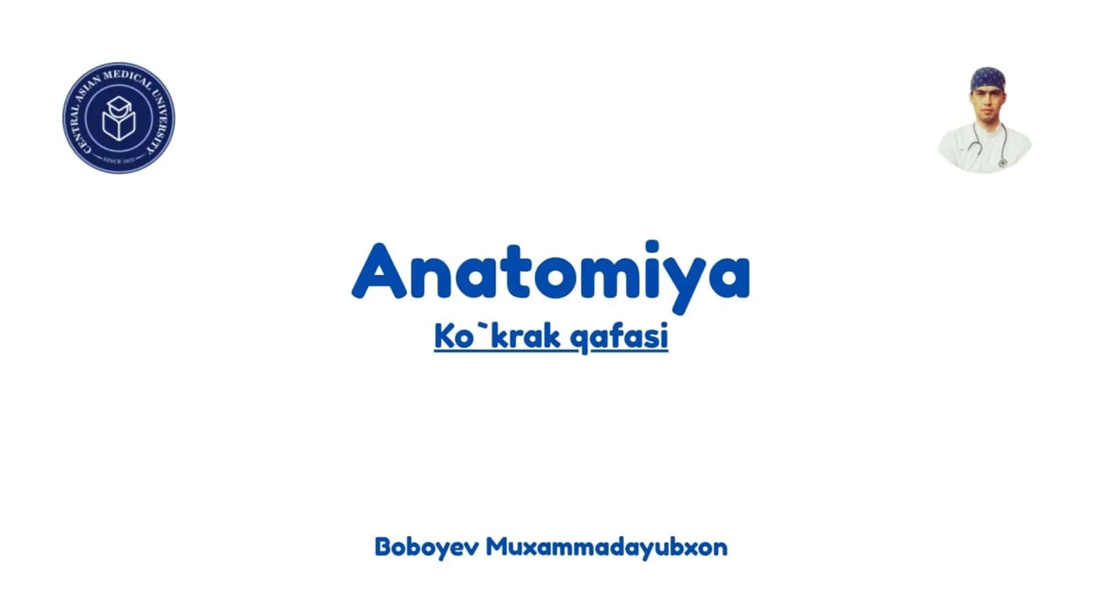 Ko'krak qafasi anatomiyasi To'sh omrov kurak va qovurg'alar anatomiyasi.