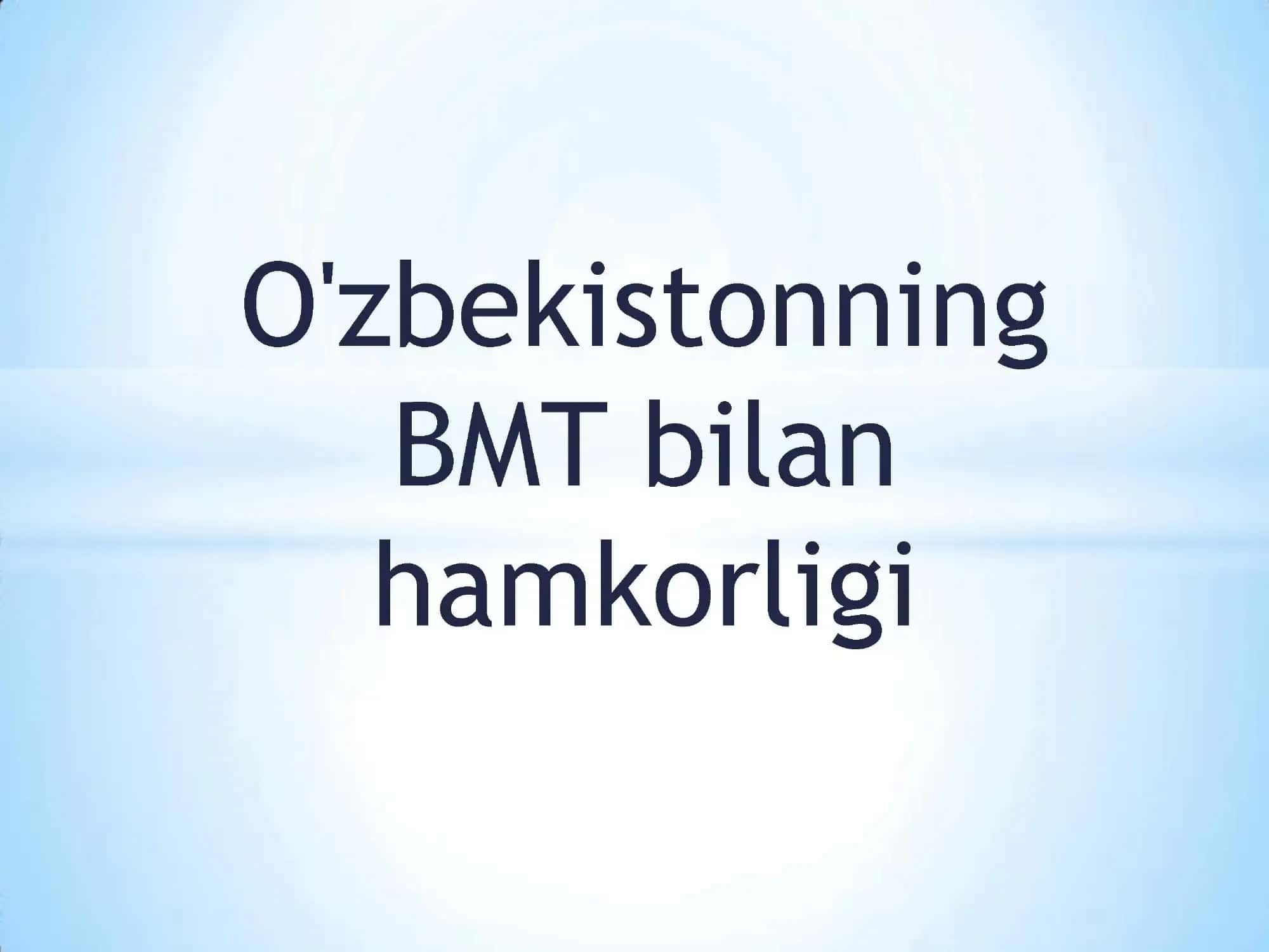 Birlashgan millatlar tashkiloti (BMT)
