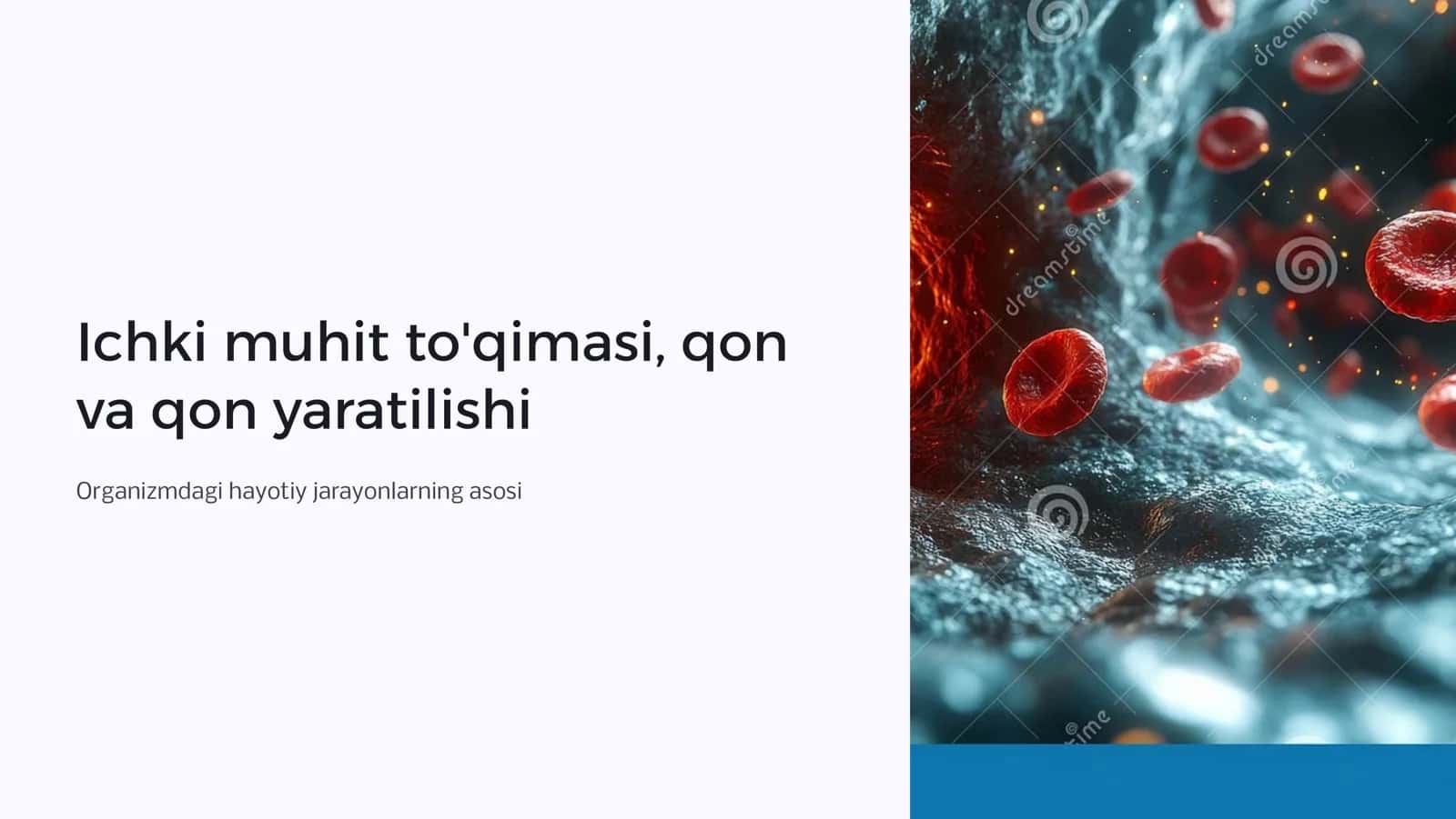 Ichki muhit to`qimasi.Qon.Qon yaratilishi.