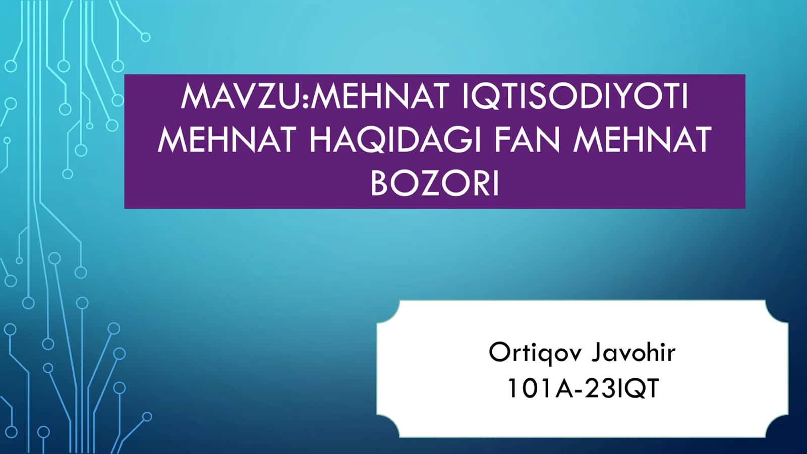 MEHNAT IQTISODIYOTI