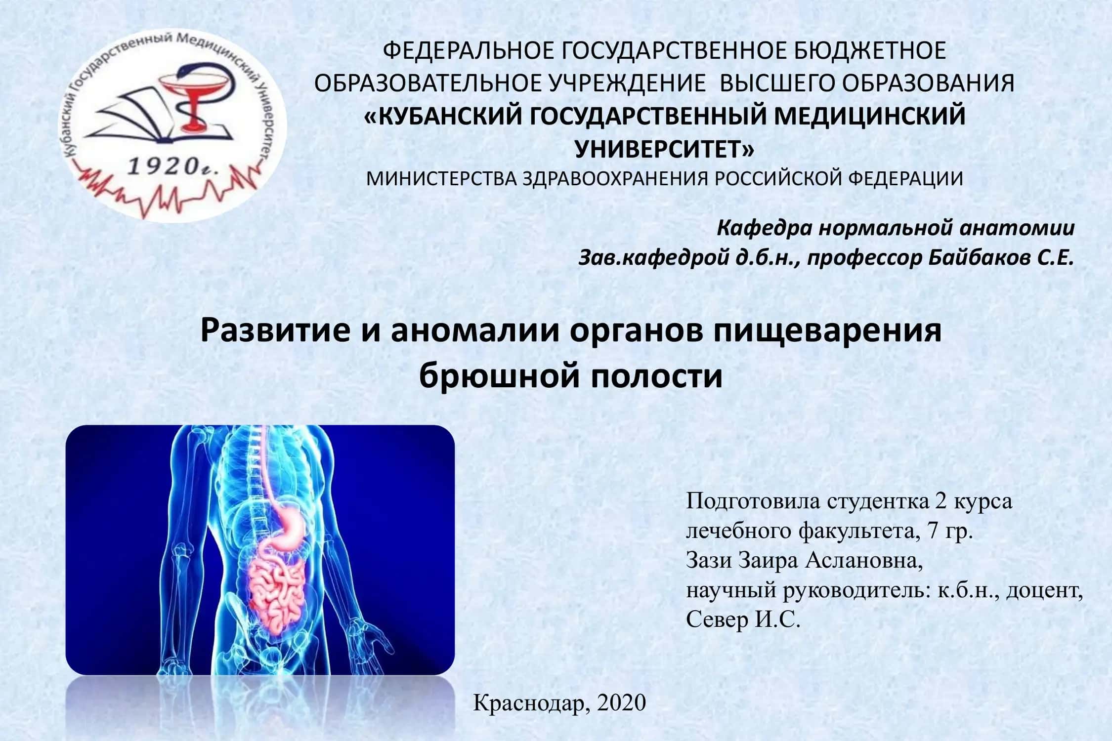 Развитие и аномалии органов пищеварения брюшной полости