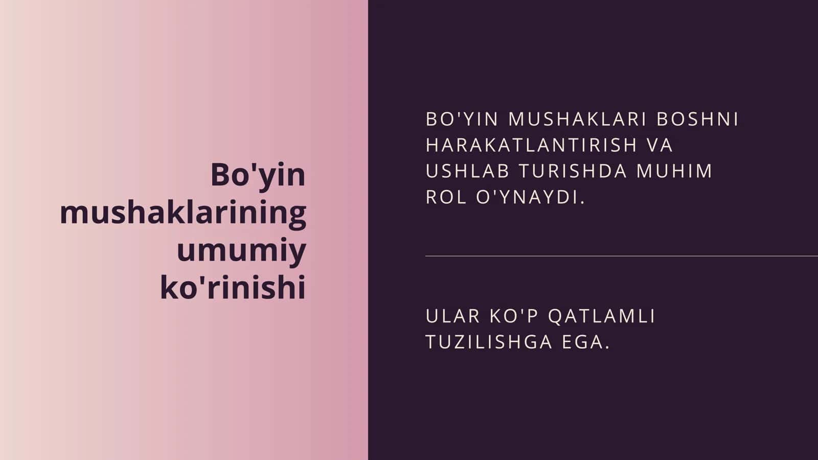 BO'YIN MUSHAKLARI BOSHNI HARAKATLANTIRISH V A USHLAB TURISHDA MUHIM ROL O'YNAYDI