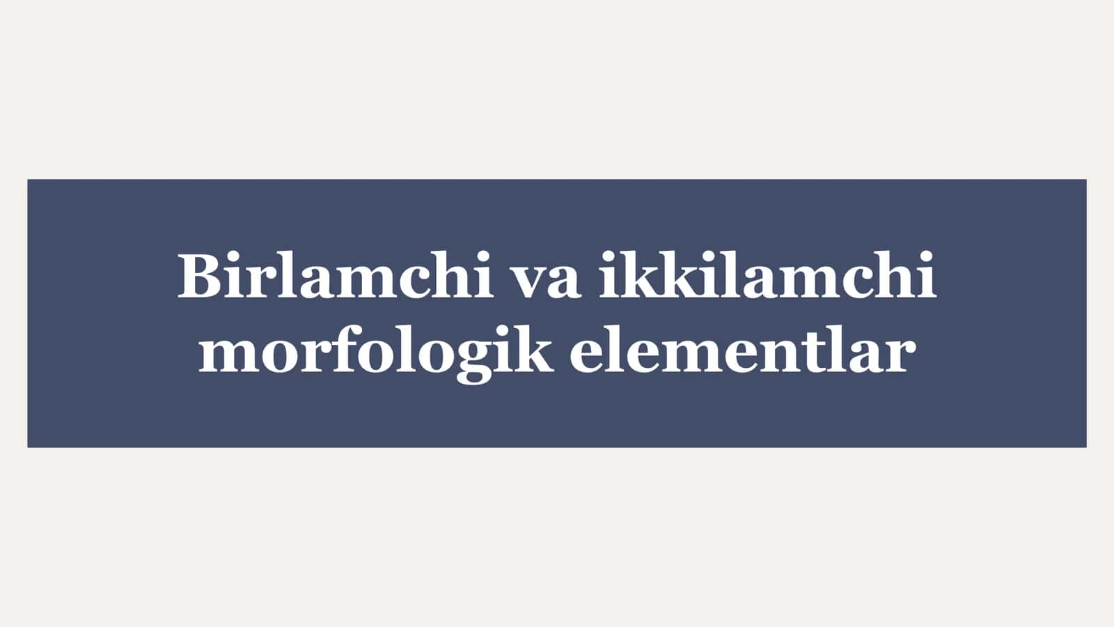 Birlamchi va ikkilamchi morfologik elementlar