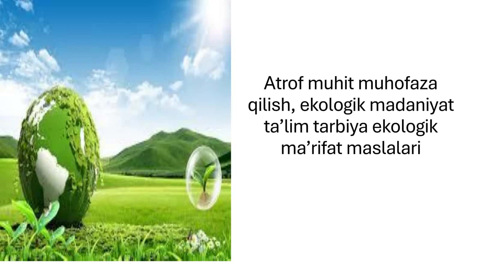 Atrof muhit muhofaza