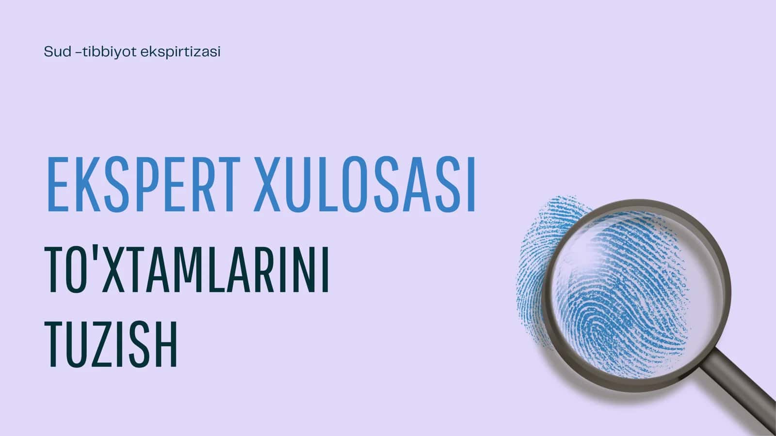 Ekspert xulosasi to'xtamlarini tuzish