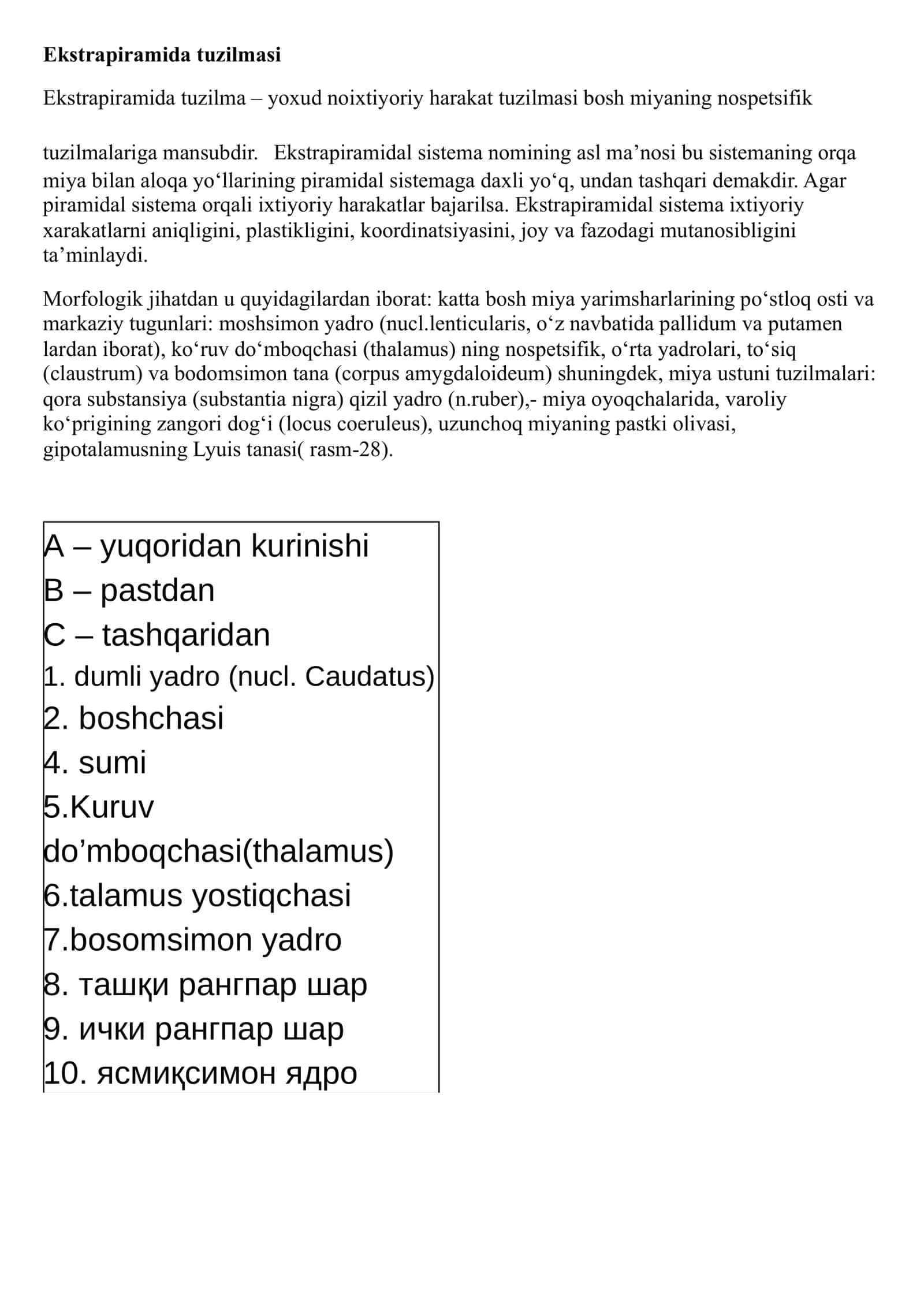 Ekstrapiramida tuzilmasi