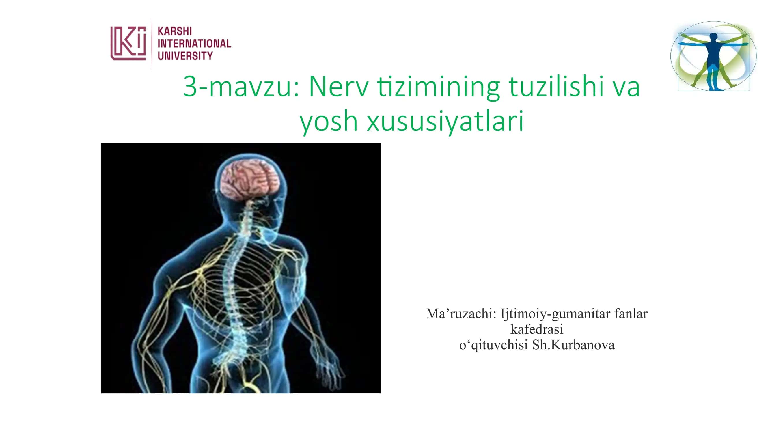 Nerv tizimining tuzilishi va yosh xususiyatlari