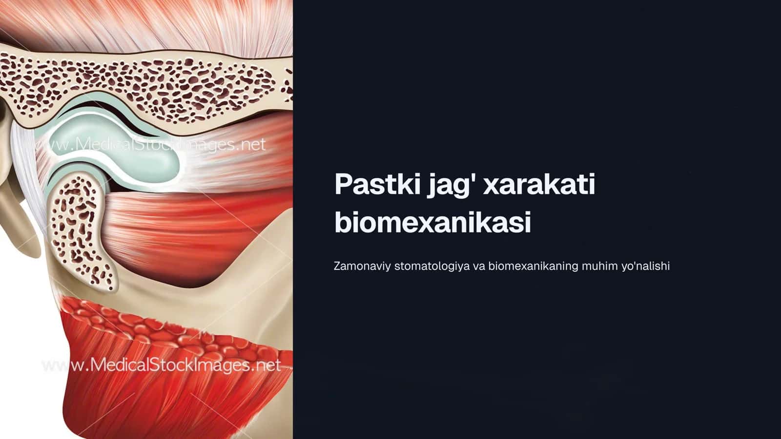 Pastki jag‘ xarakati biomexanikasi