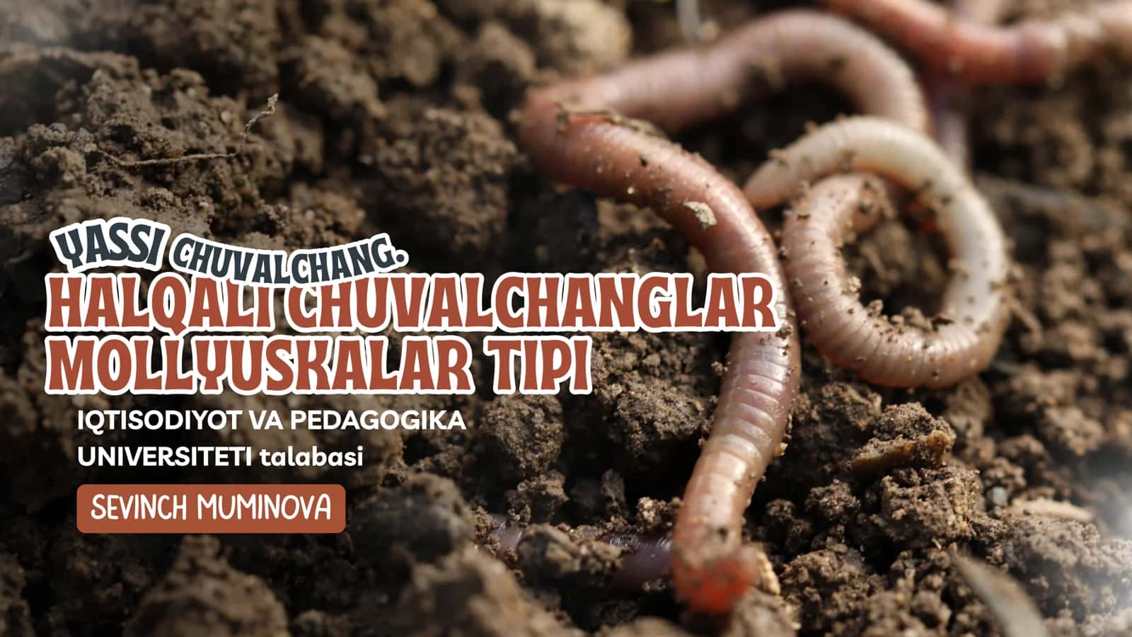 HALQALI CHUVALCHANGLAR MOLLYUSKALAR TIPI
