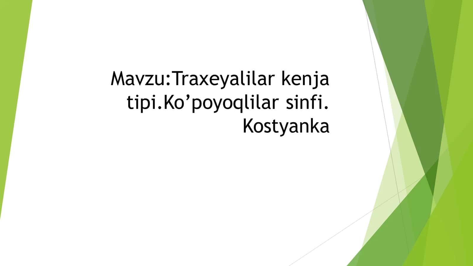 Traxeyalilar kenja tipi