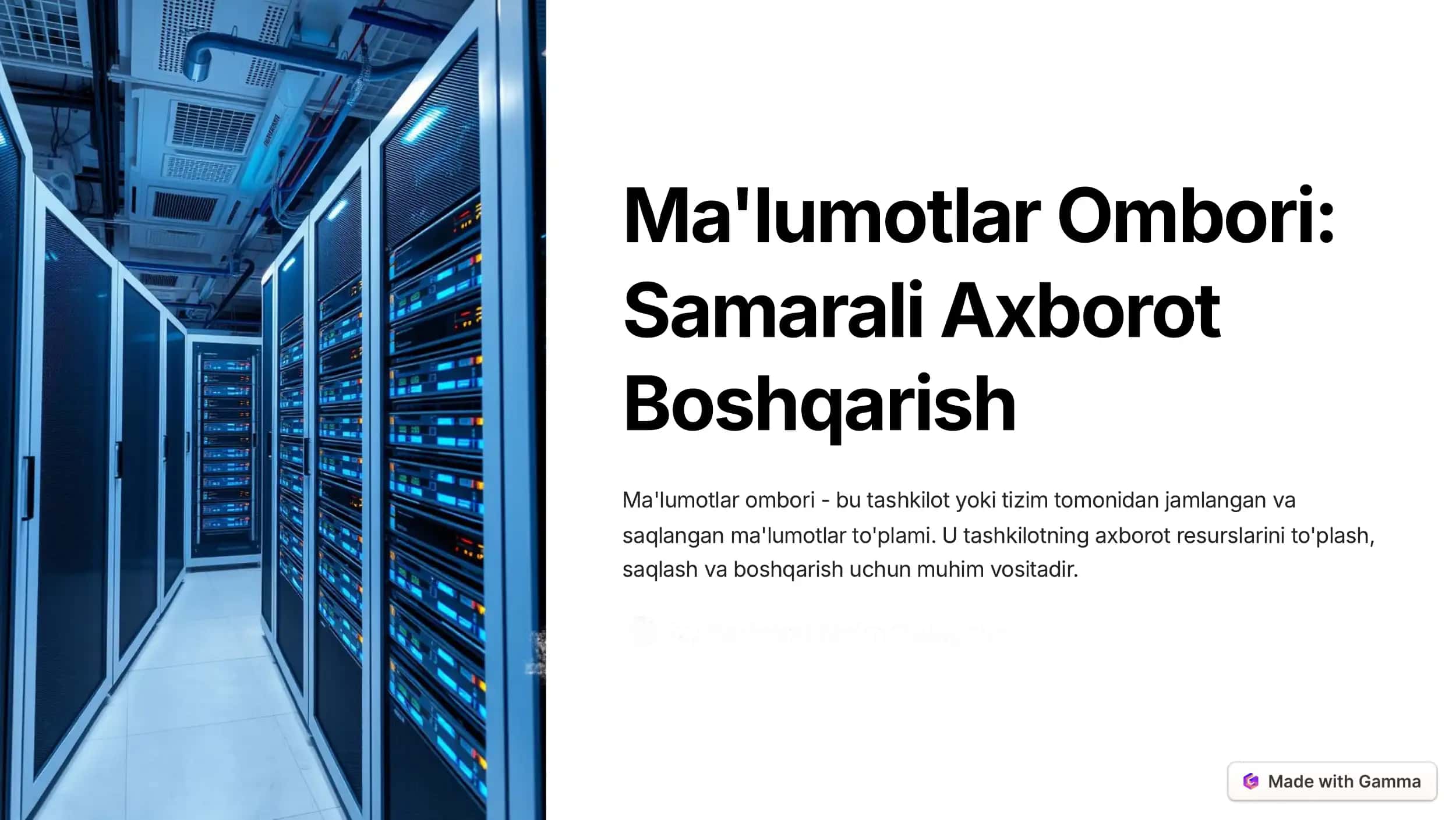 Ma'lumotlar Ombori