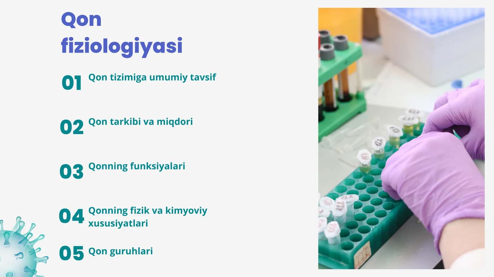 Qon fiziologiyasi