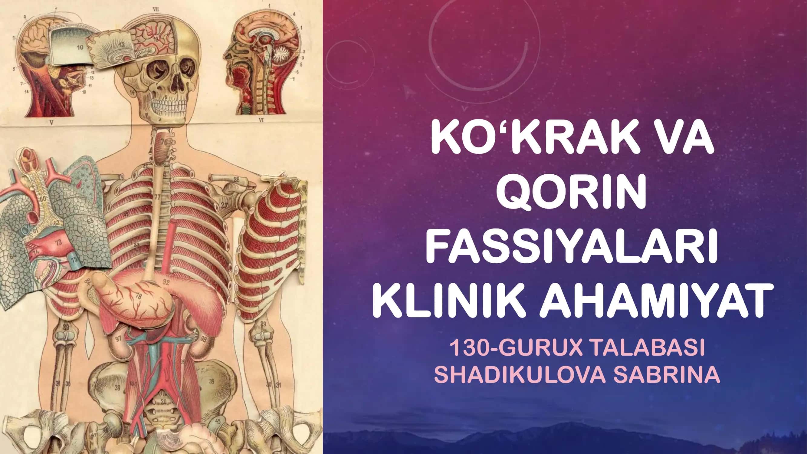 Ko'krak, qorin fassiyalari va klinik ahamiyati