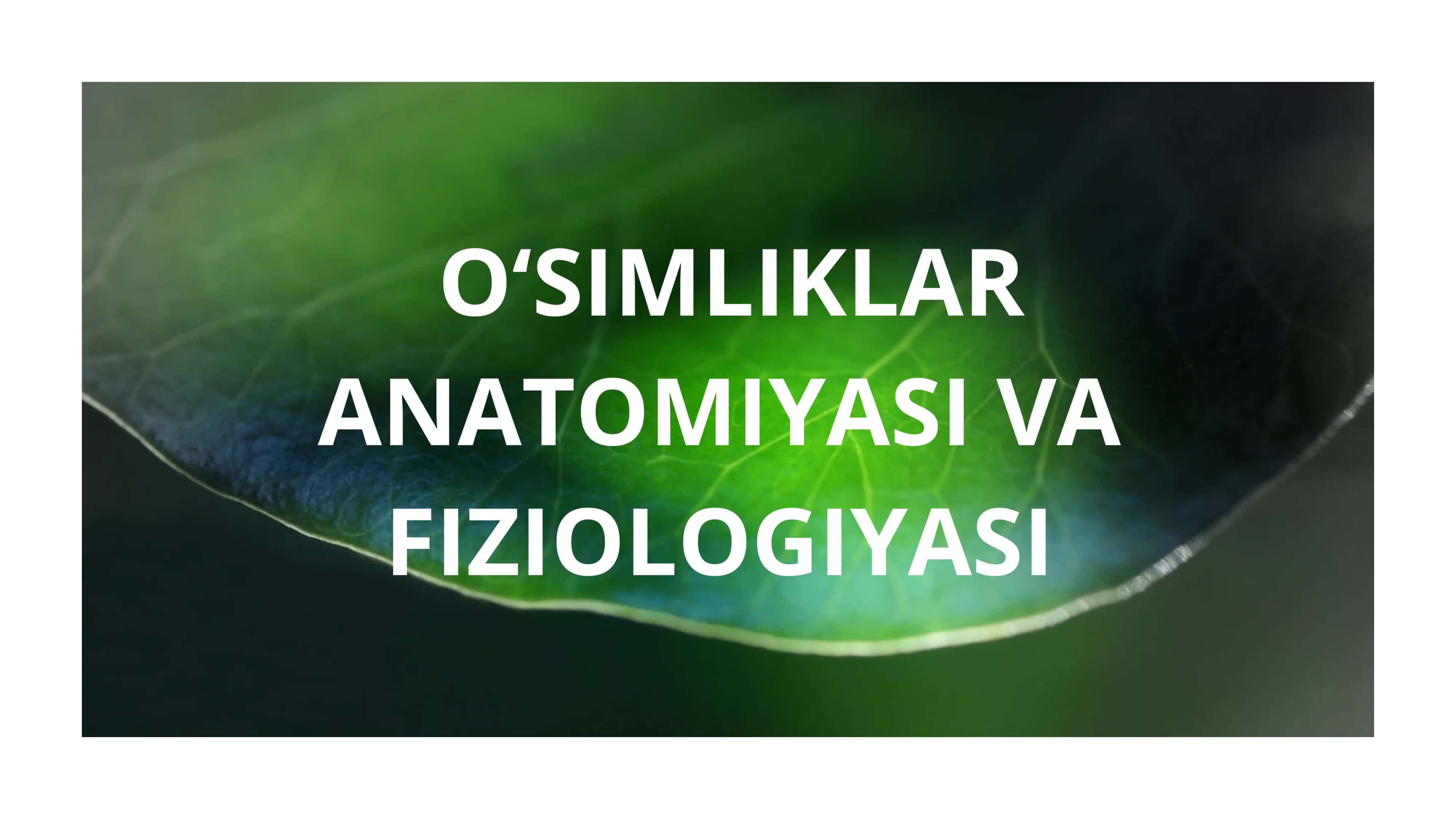 O'simliklar ANATOMIYASI VA FIZIOLOGIYASI