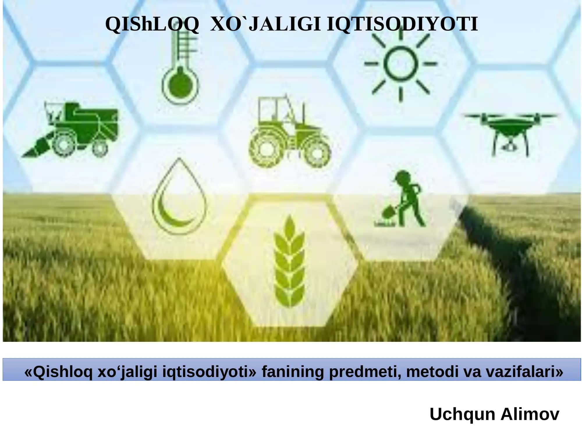 Qishloq xo'jaligi iqtisodiyoti