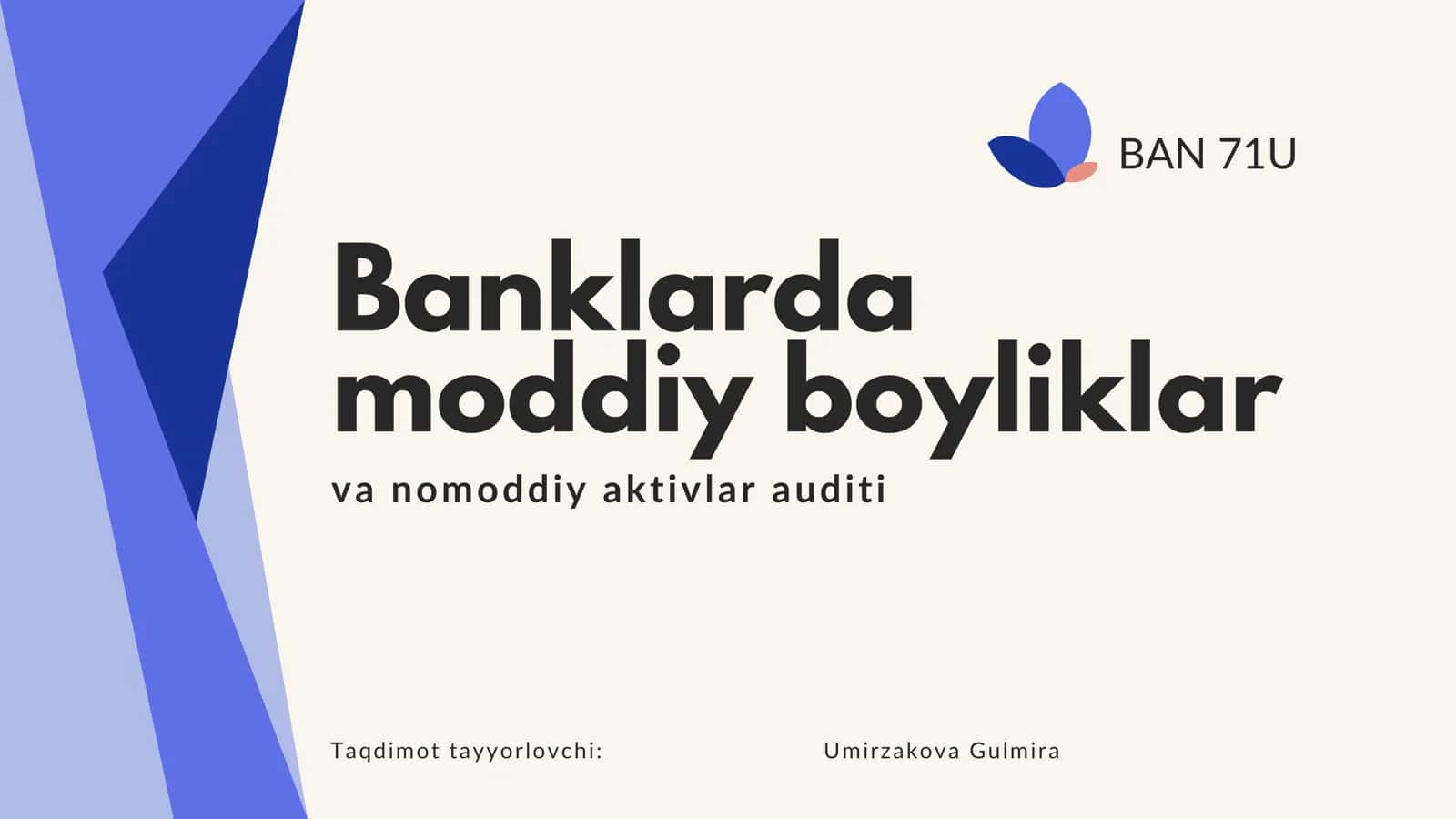 Banklarda moddiy boyliklar va nomoddiy aktivlar auditi