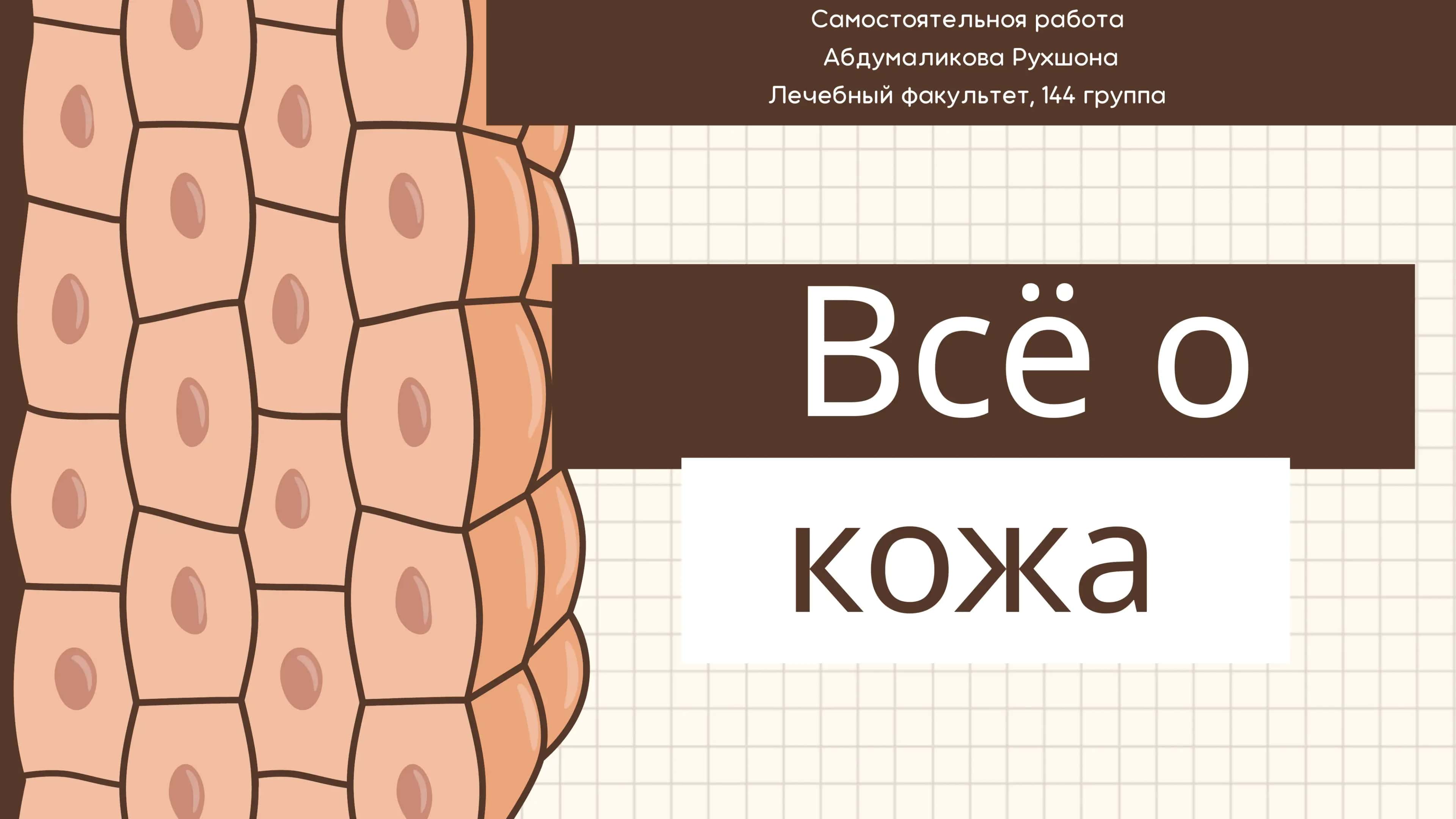 Вся информация о коже 📖🔬
