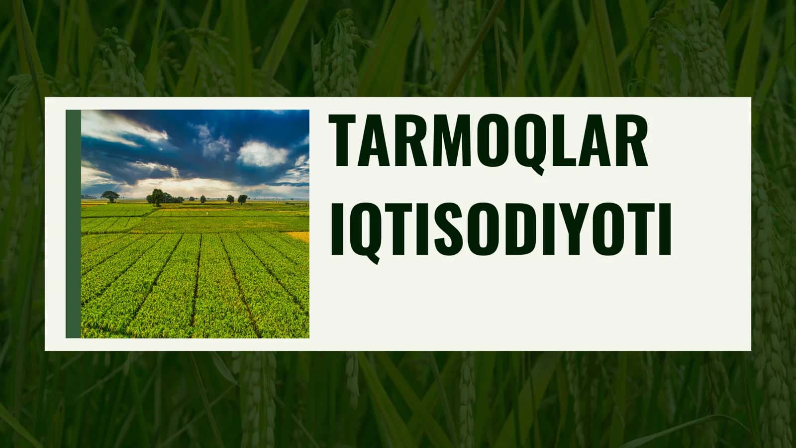 Tarmoqlar iqtisodiyoti