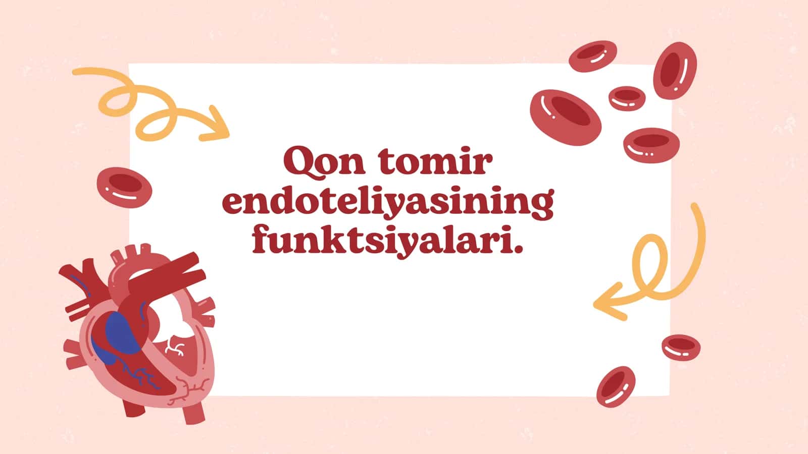Qon tomir endoteliyasining funktsiyalari.