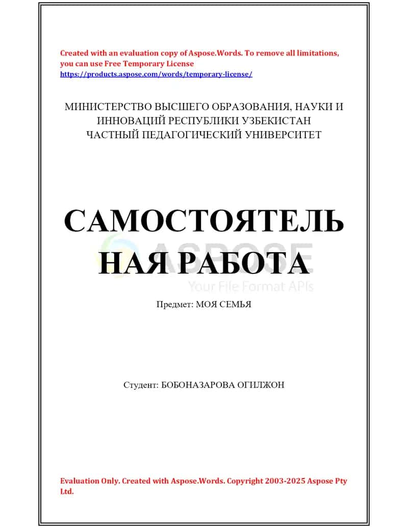 Самостоятельная работа «Моя семья»