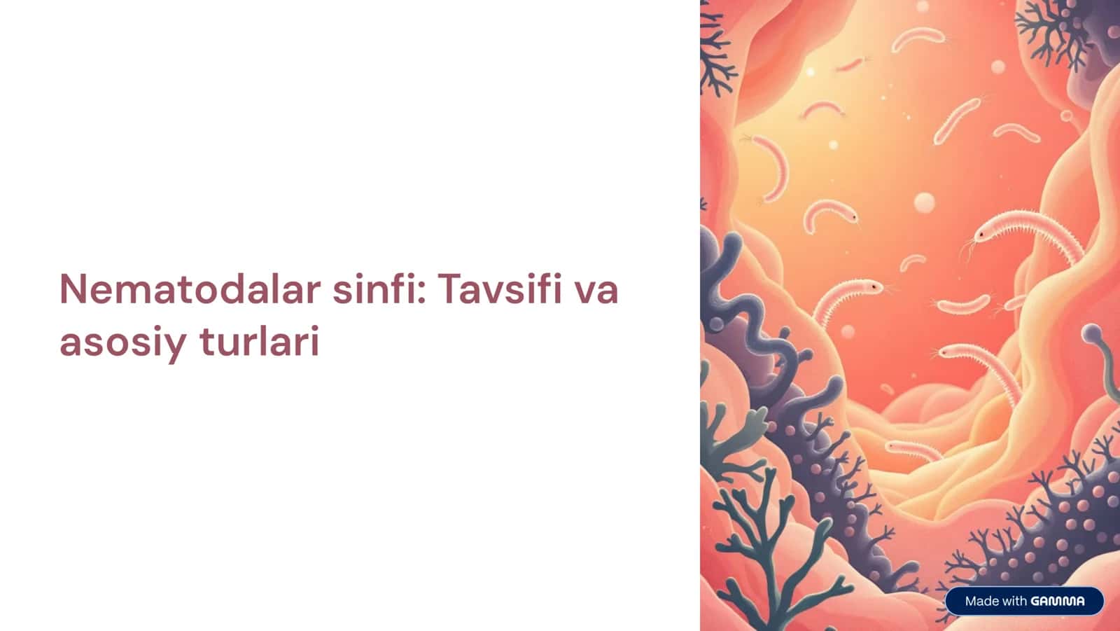 Nematodalar sinfi: Tavsifi va asosiy turlari