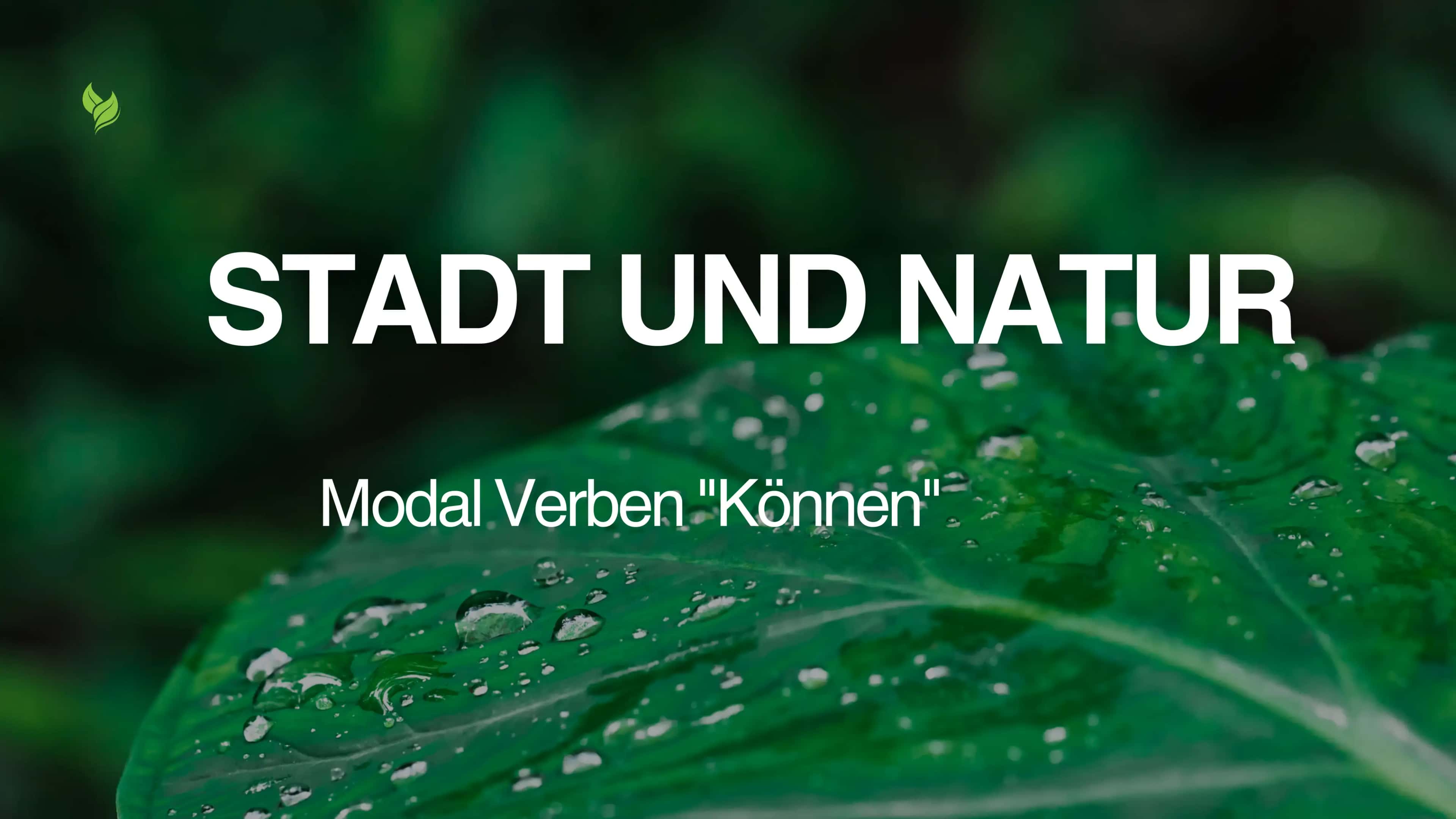 Modal Verben "Können"
