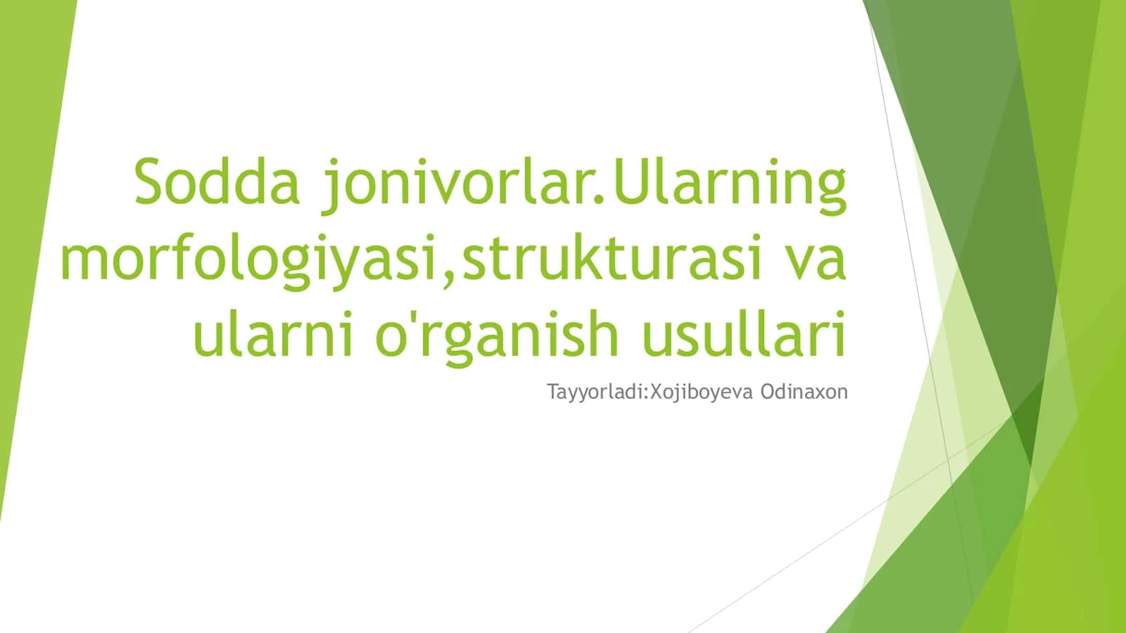 Sodda jonivorlar
