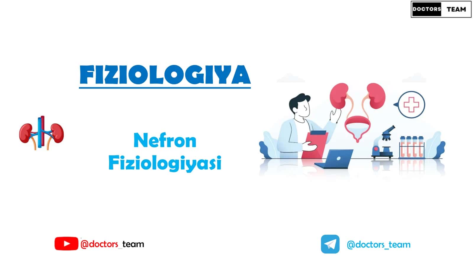FIZIOLOGIYA Nefron Fiziologiyasi