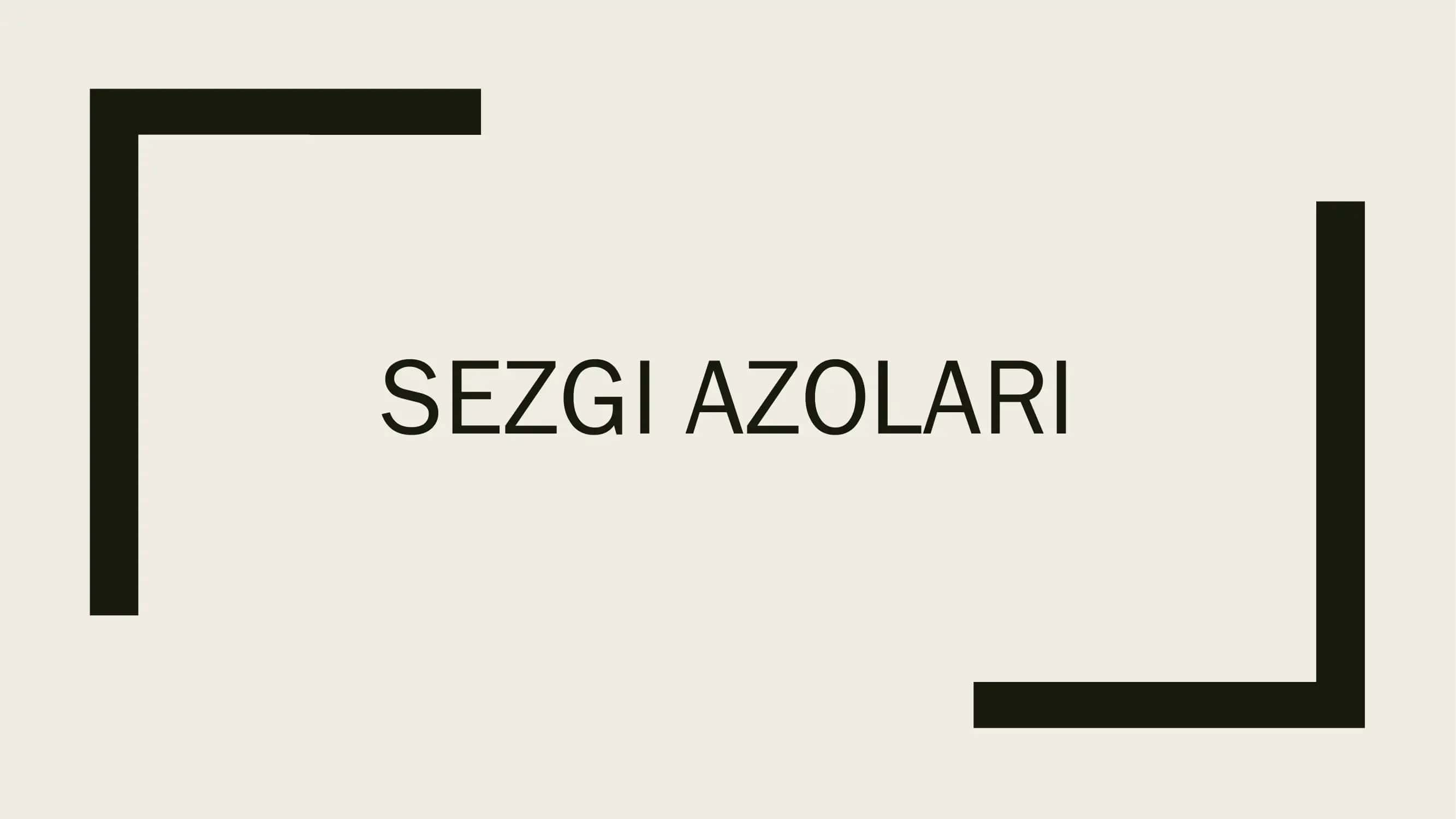 Sezgi organlari