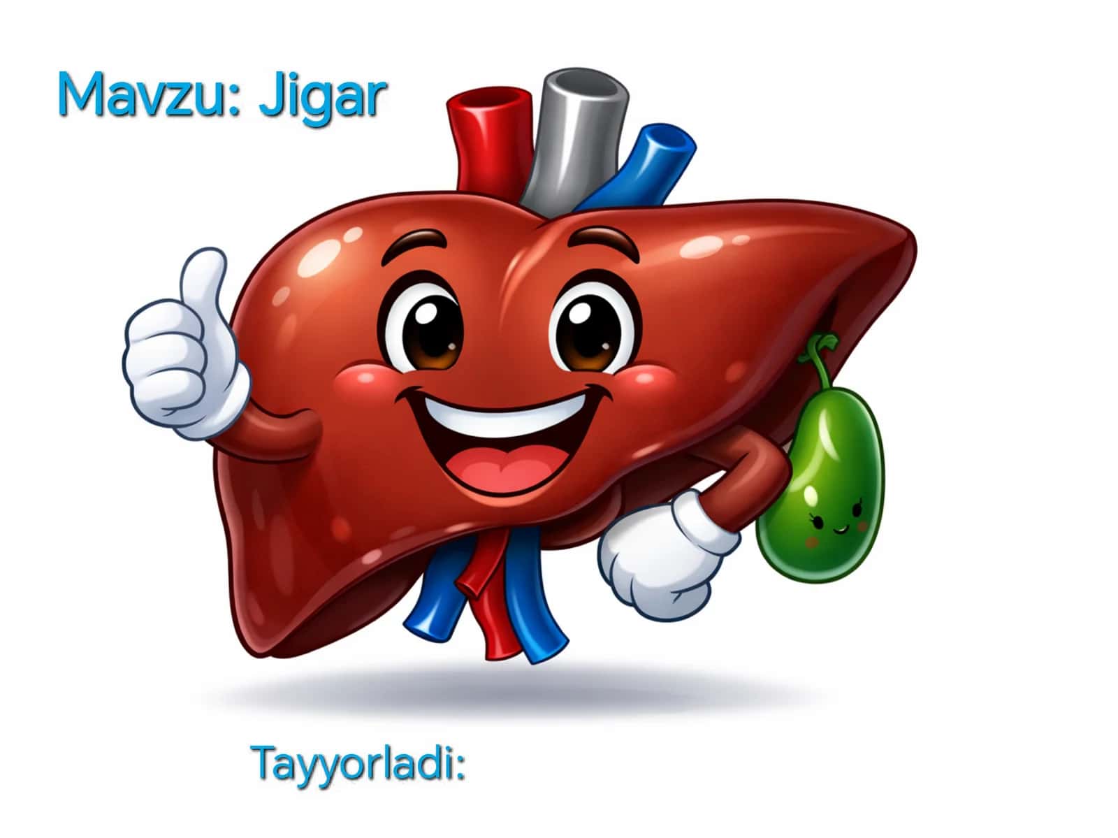 Jigar anatomiyasi