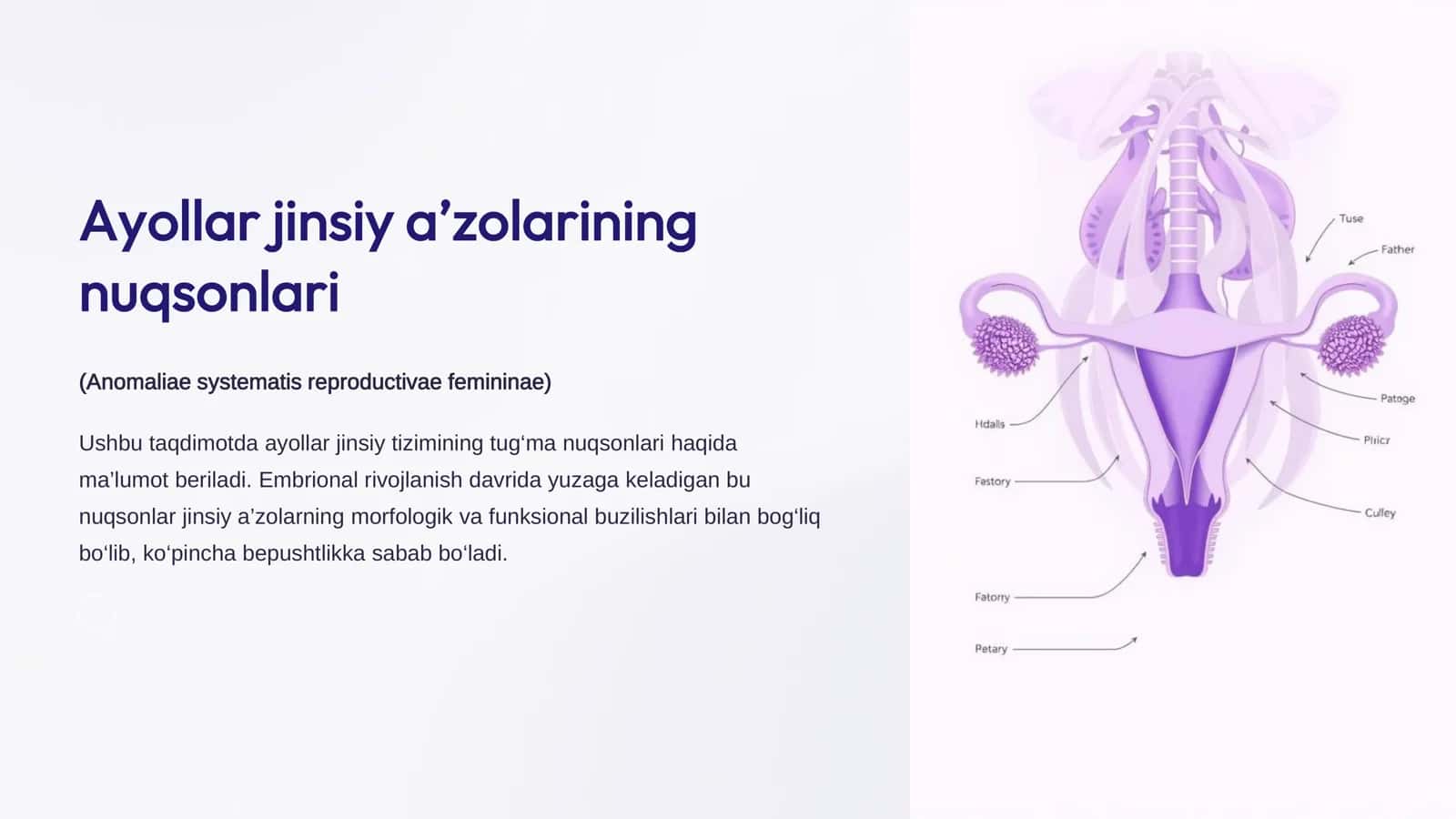 Ayollar jinsiy a’zolarining nuqsonlari