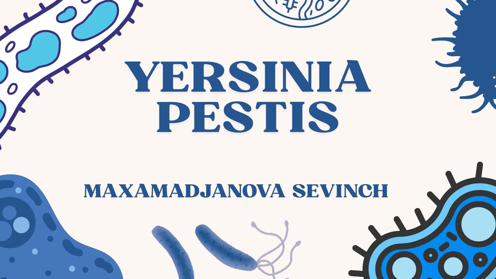 yersinia pestis