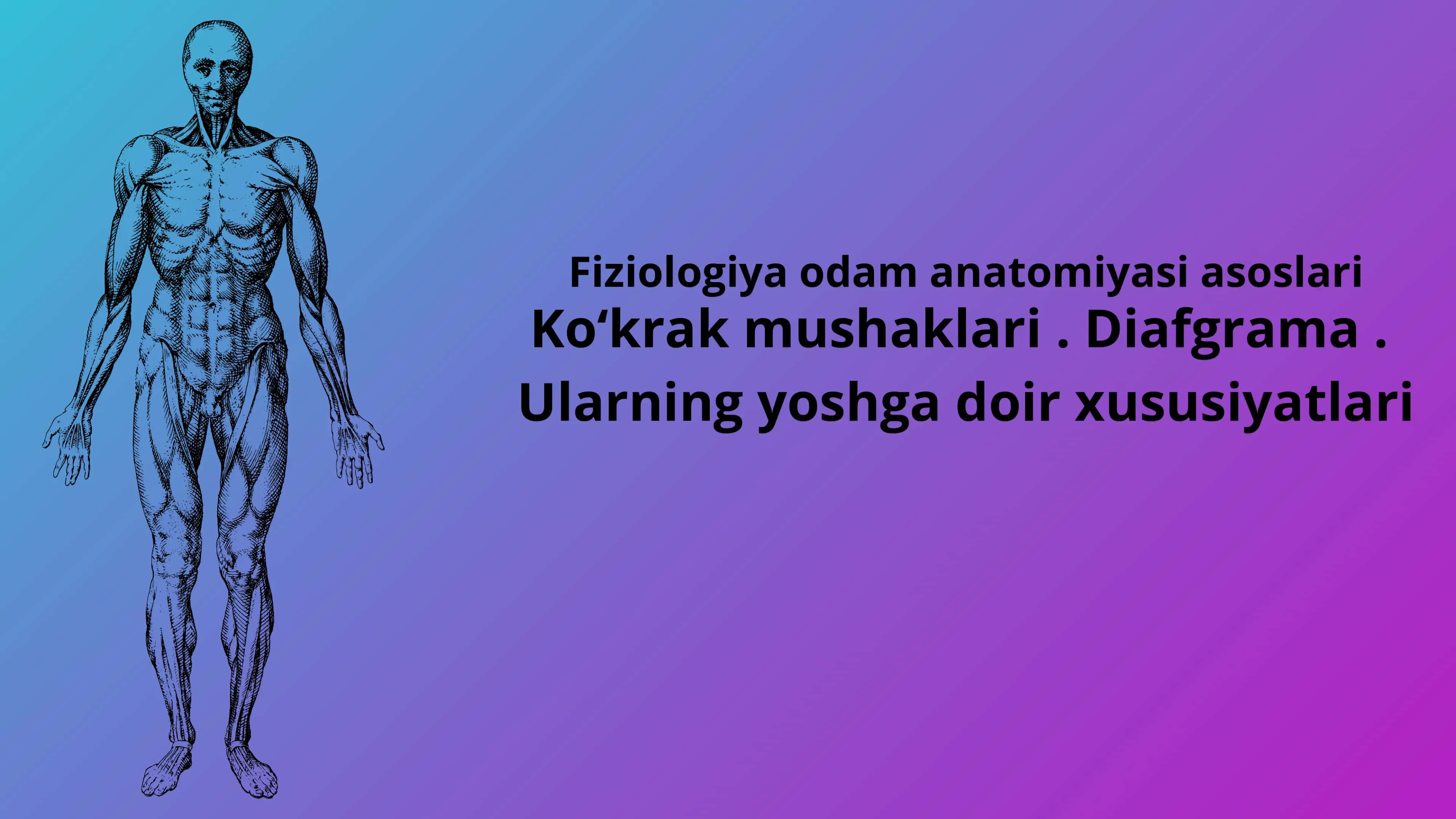 Koʻkrak mushaklari. Diafgrama. Ularning yoshga qarab oʻzgarishi