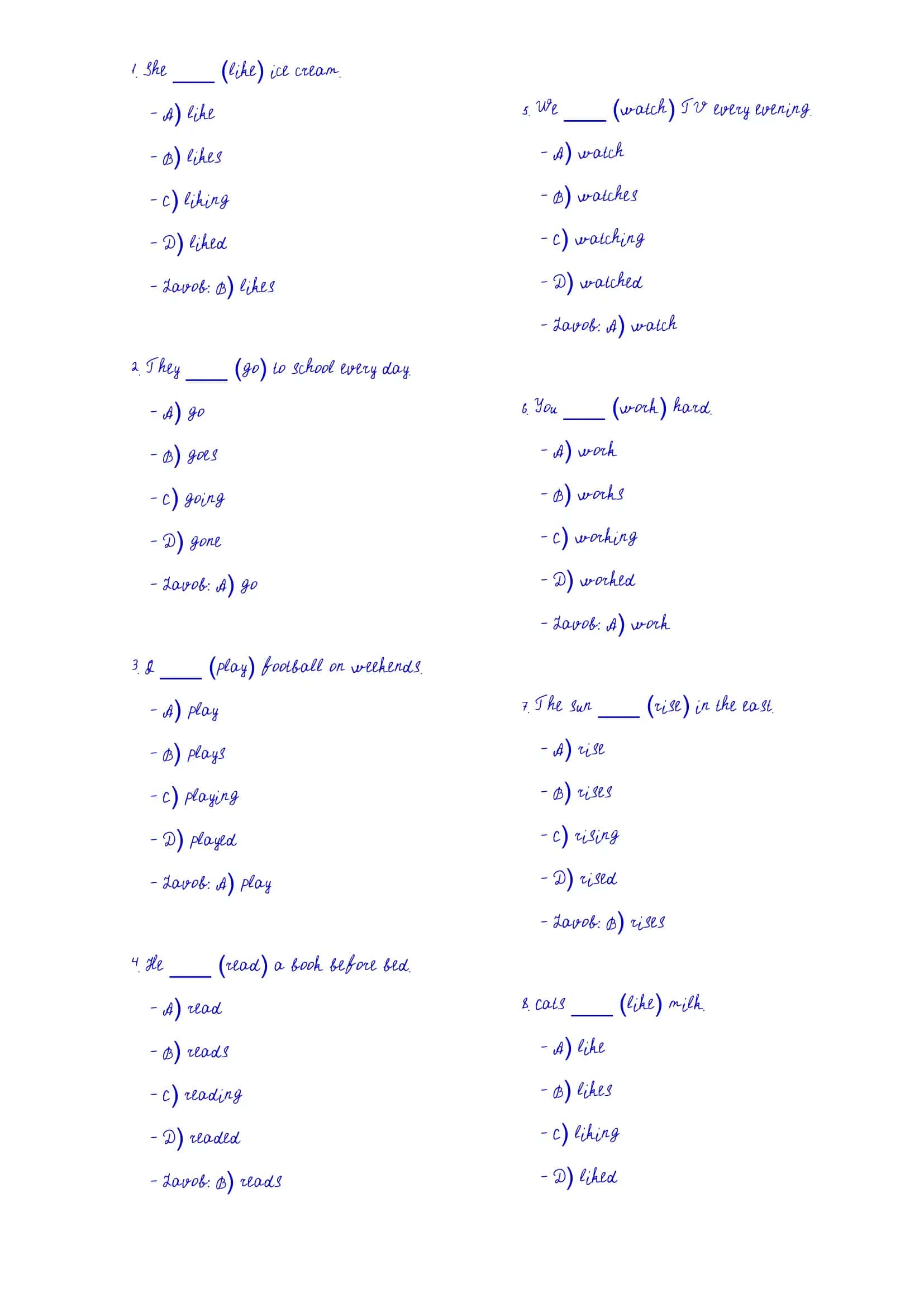 English Grammar Quiz
