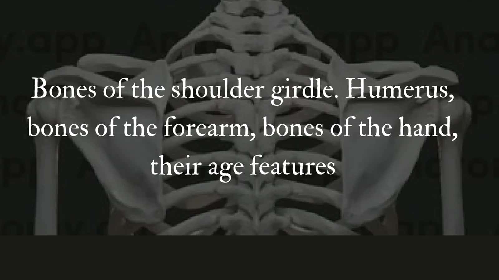 Bones of the Shoulder Girdle