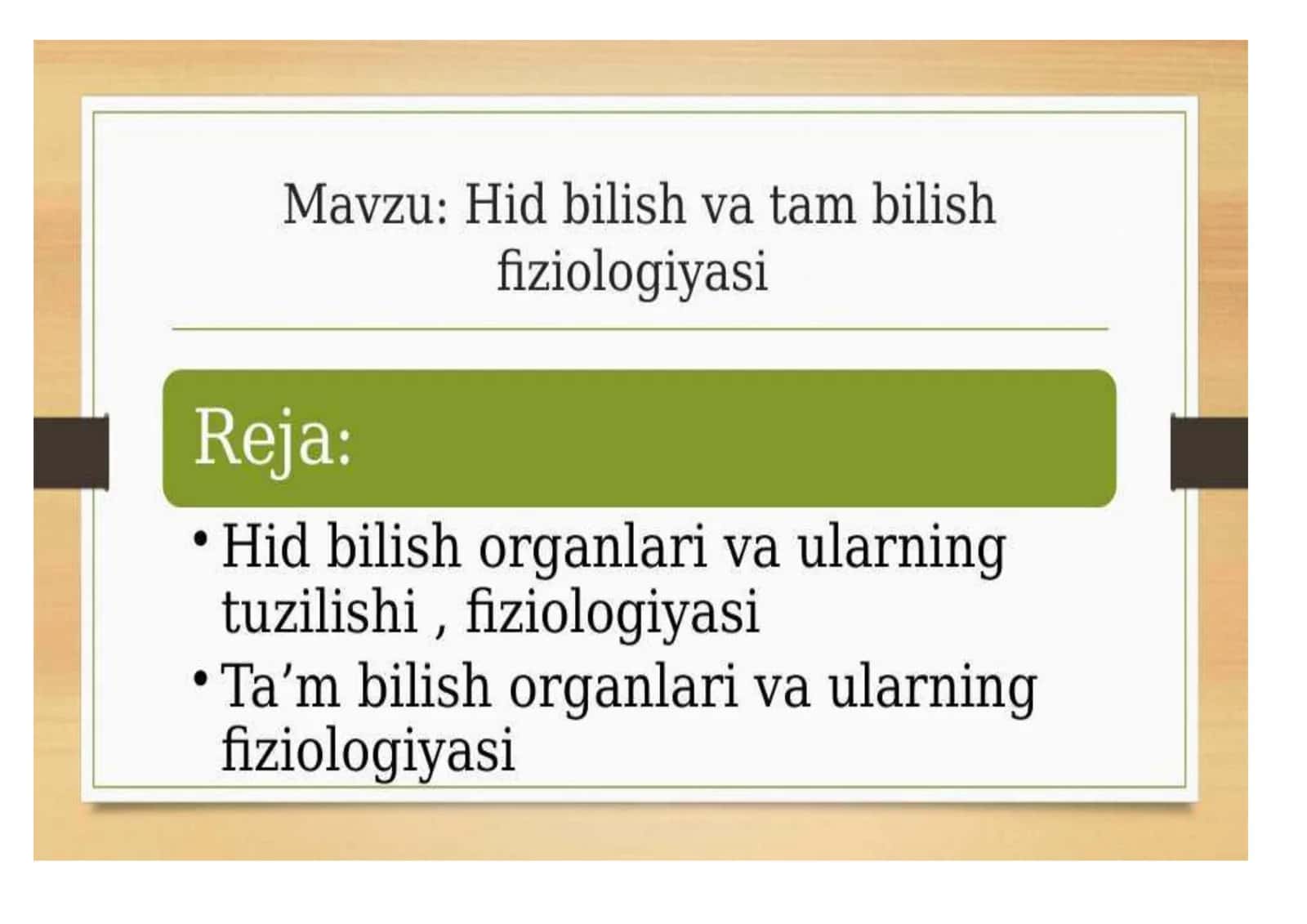 Teri analizatori (Teri sezgisi)