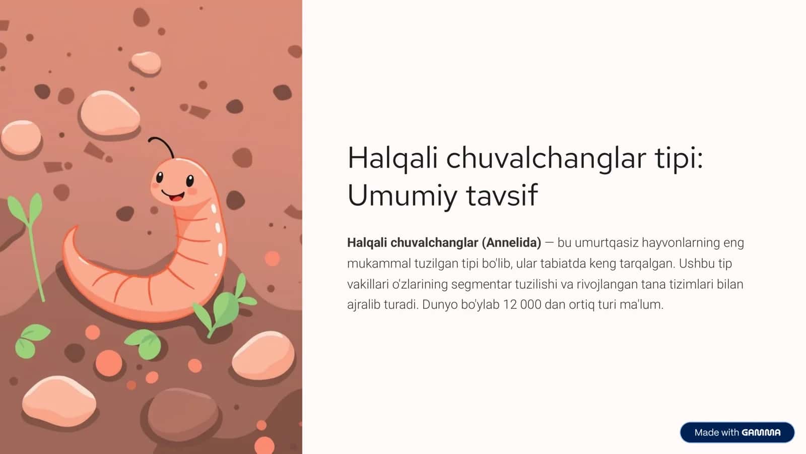 Halqali chuvalchanglar tipi