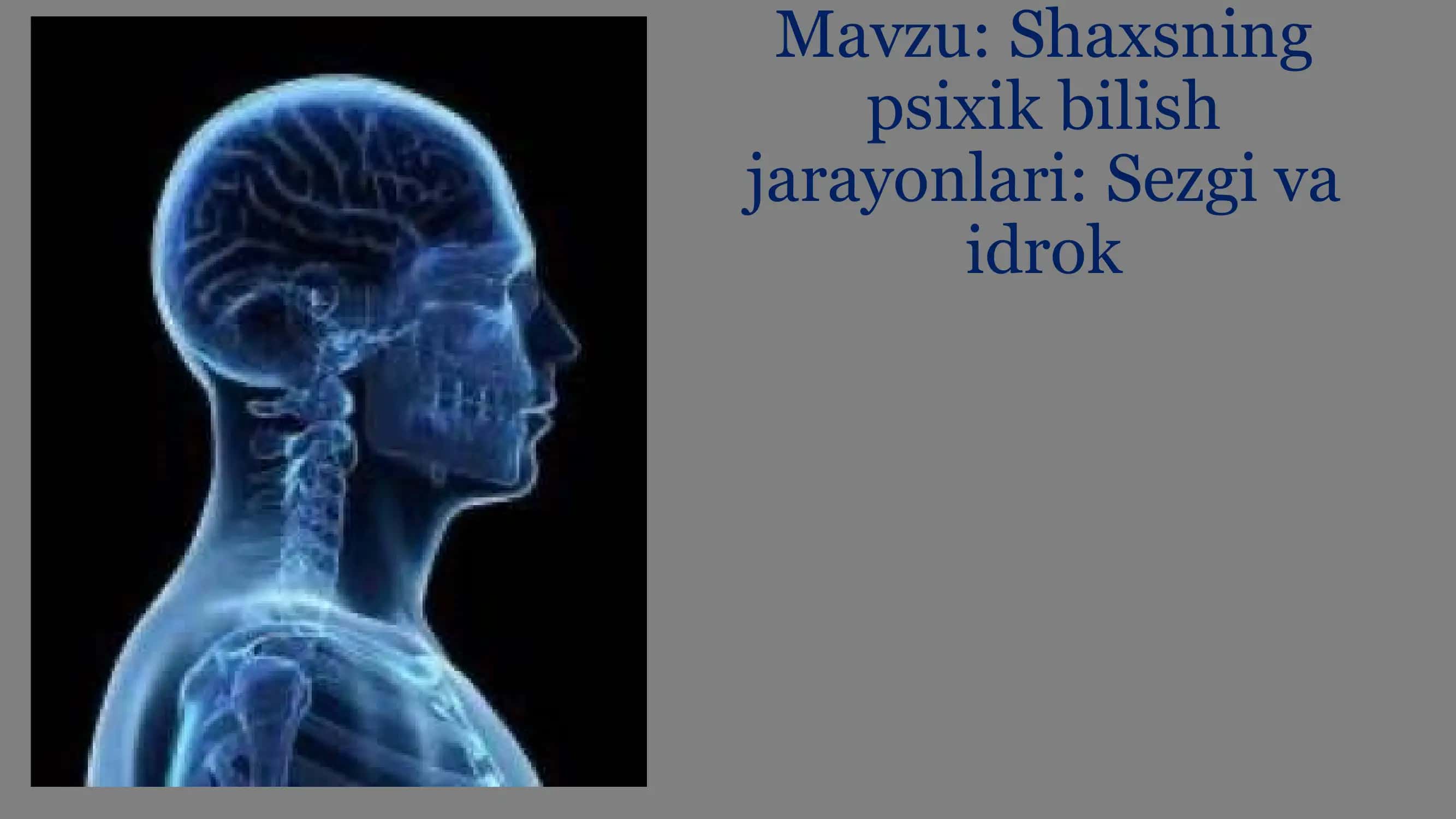 Shaxsning psixik bilish jarayonlari: Sezgi va idrok