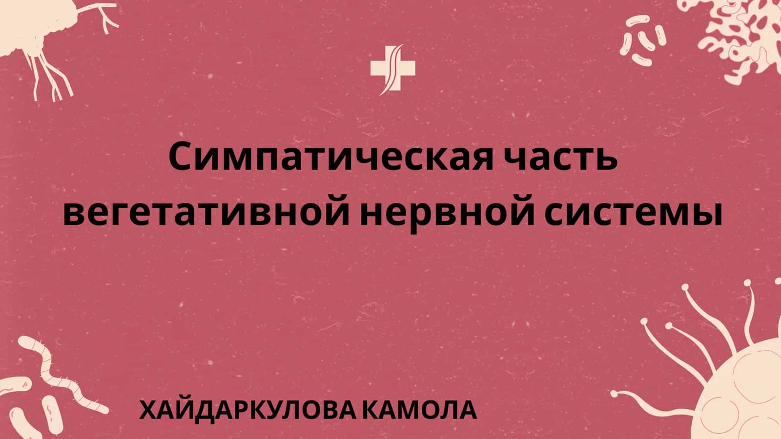 Симпатическая часть вегетативной нервной системы