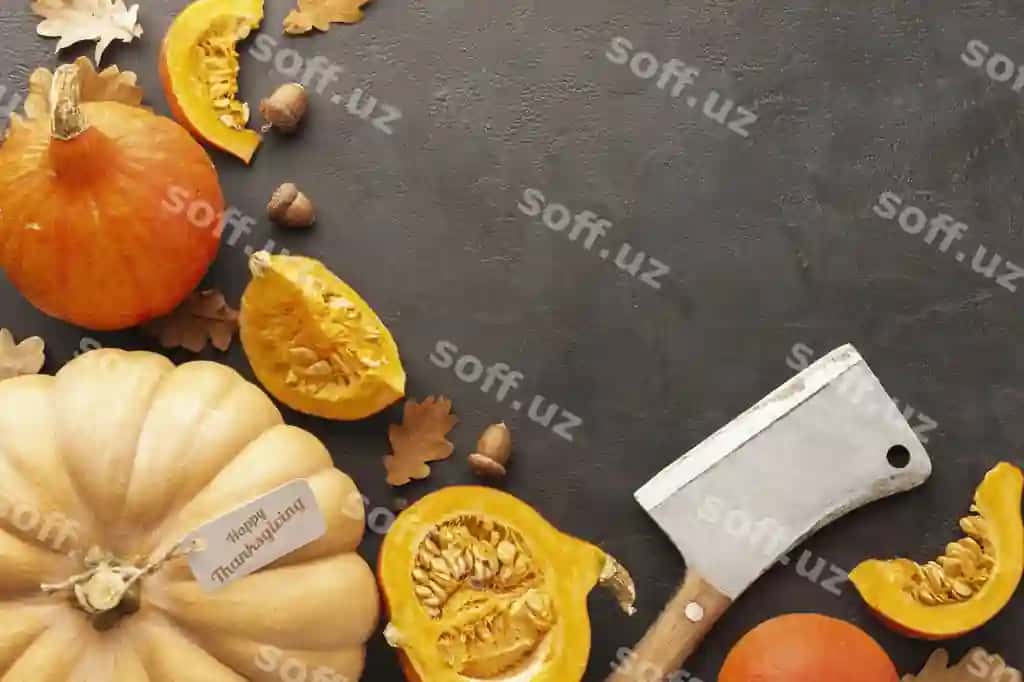 Yuqori ko'rinish qovoqlar bilan shtukat orqa fonda joylashuv | Top view arrangement with pumpkins stucco background