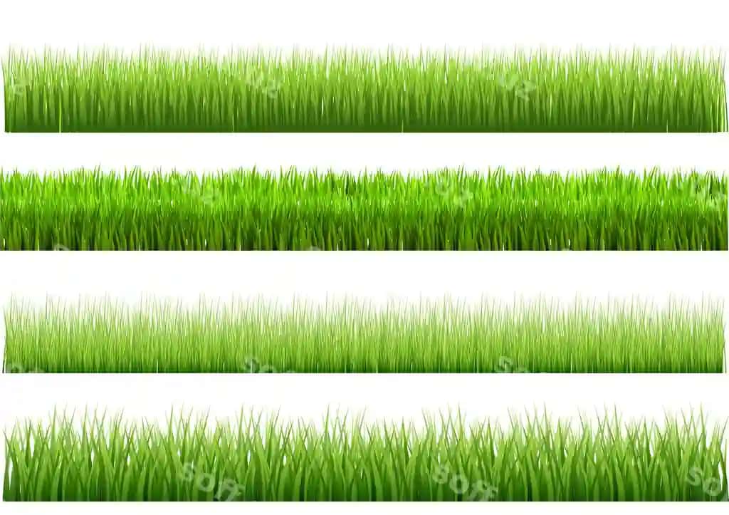 Yashil chaman chegaralari isolatsiya qilingan oq fonda joylashgan | Green grass borders set isolated white background