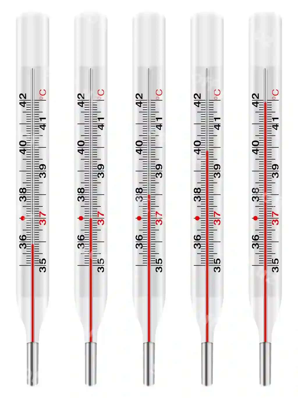 Tibbiy termometr komplekti | Medical thermometer set